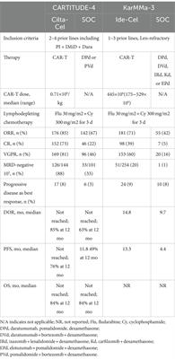 CAR-T cell therapy in relapsed or refractory multiple myeloma and access in Turkey